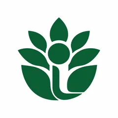 Studio Luz